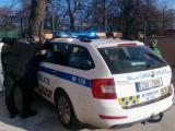 Strnci mstsk policie na besed v Sadsk