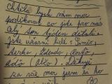 Mstsk policie Nymburk  s nmi neztroskot...