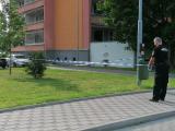 Tikrt vel roj
