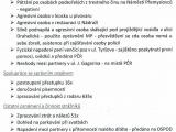 innost mstsk policie, prosinec 2019 - leden 2020