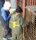 foto-14