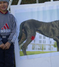 foto-8