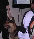 foto-11