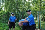 foto-11