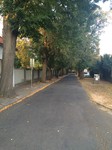 foto-7